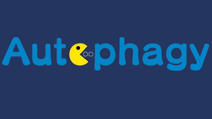 Autophagy autophagy: grote schoonmaak in je lichaam