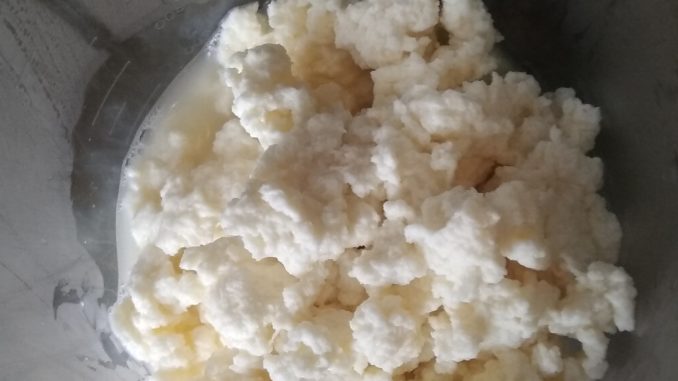 Zelf ricotta maken Zelf ricotta maken