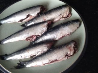 Keto en vette vis