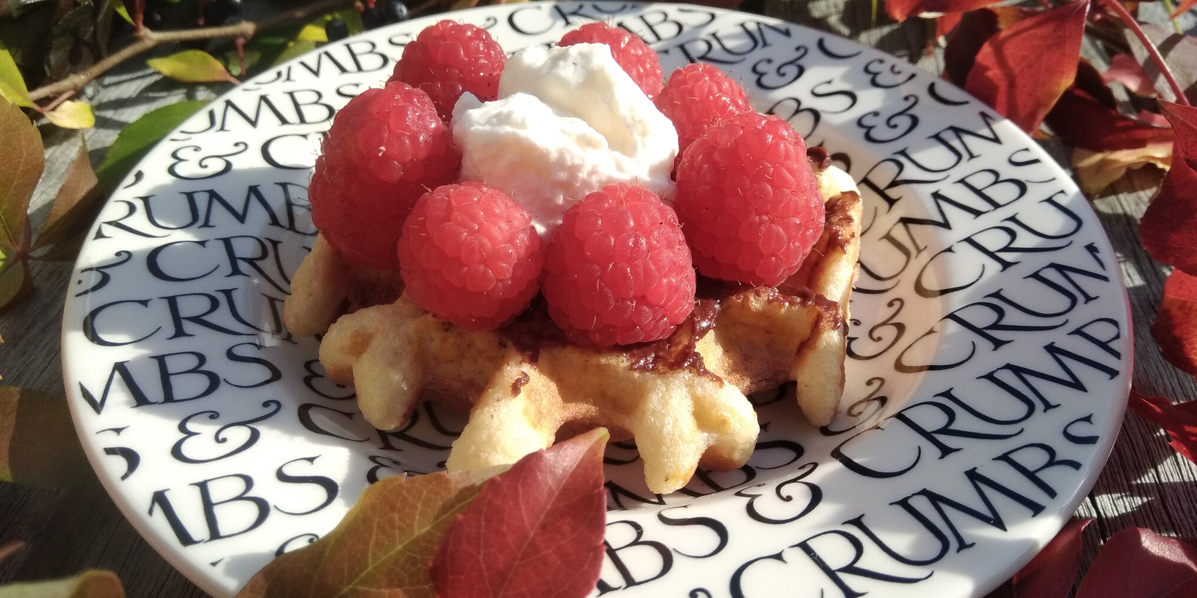 Keto wafel