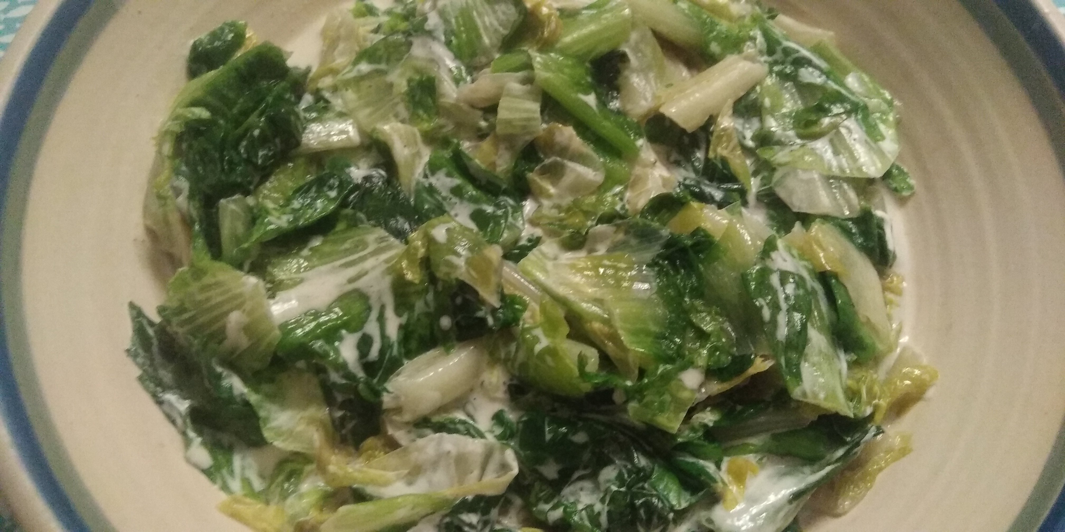 Keto andijvie