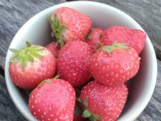 100 gram aardbeien