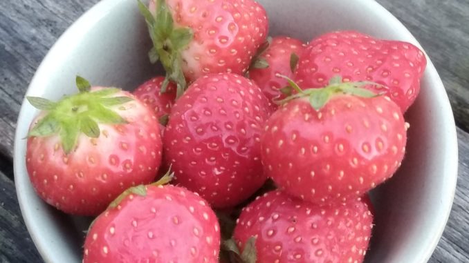 100 gram aardbeien 100 gram aardbeien