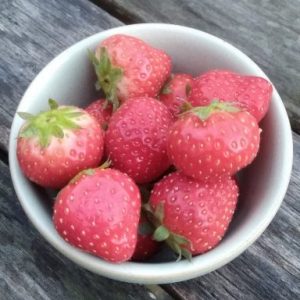 100 gram aardbeien