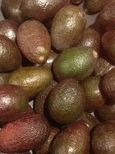 avocado - heel keto